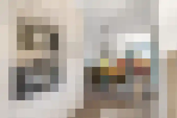 van der Helststraat 12 Ommen thumbnail 16