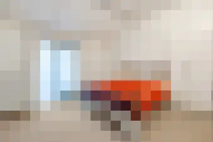 van der Helststraat 12 Ommen thumbnail 17