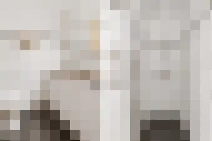 van der Helststraat 12 Ommen thumbnail 22