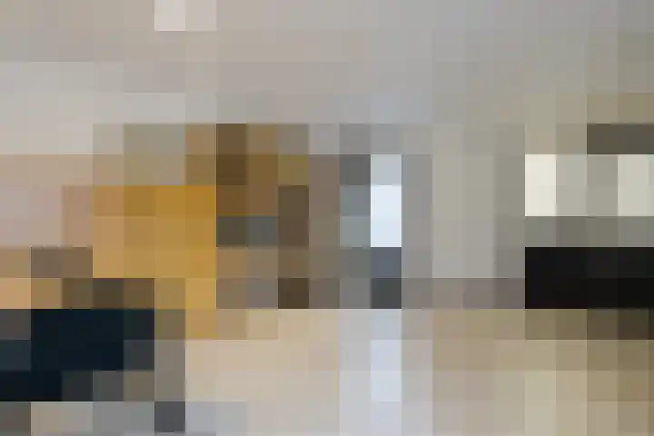 van der Helststraat 12 Ommen thumbnail 26