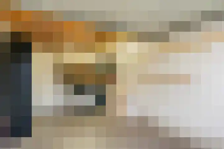 van der Helststraat 12 Ommen thumbnail 27
