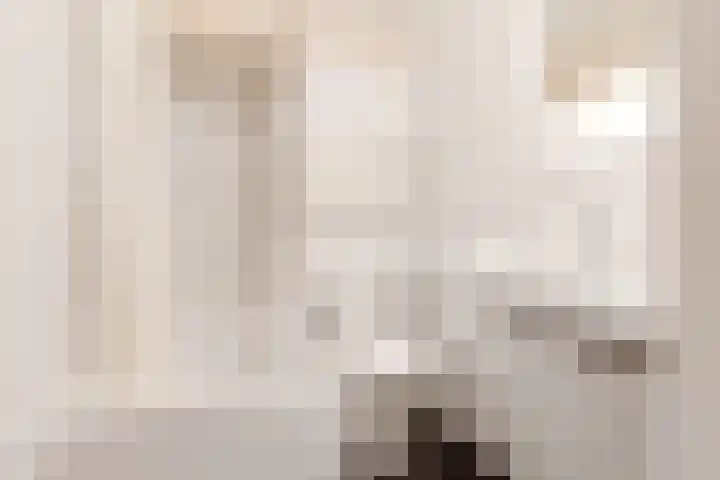 van der Helststraat 12 Ommen thumbnail 37