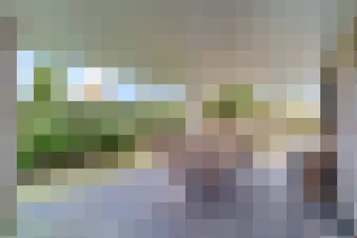 van der Helststraat 12 Ommen thumbnail 38