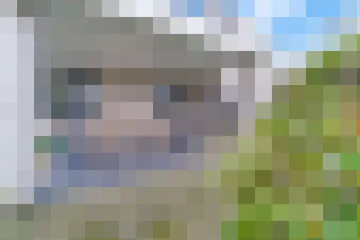 van der Helststraat 12 Ommen thumbnail 41