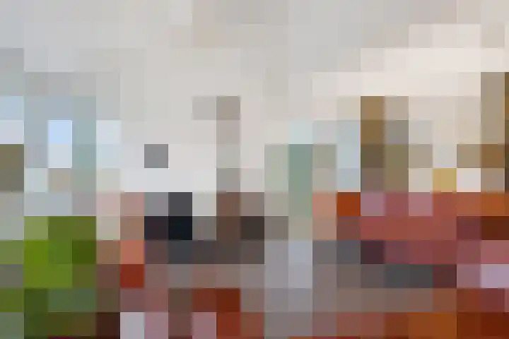 van der Helststraat 12 Ommen thumbnail 9