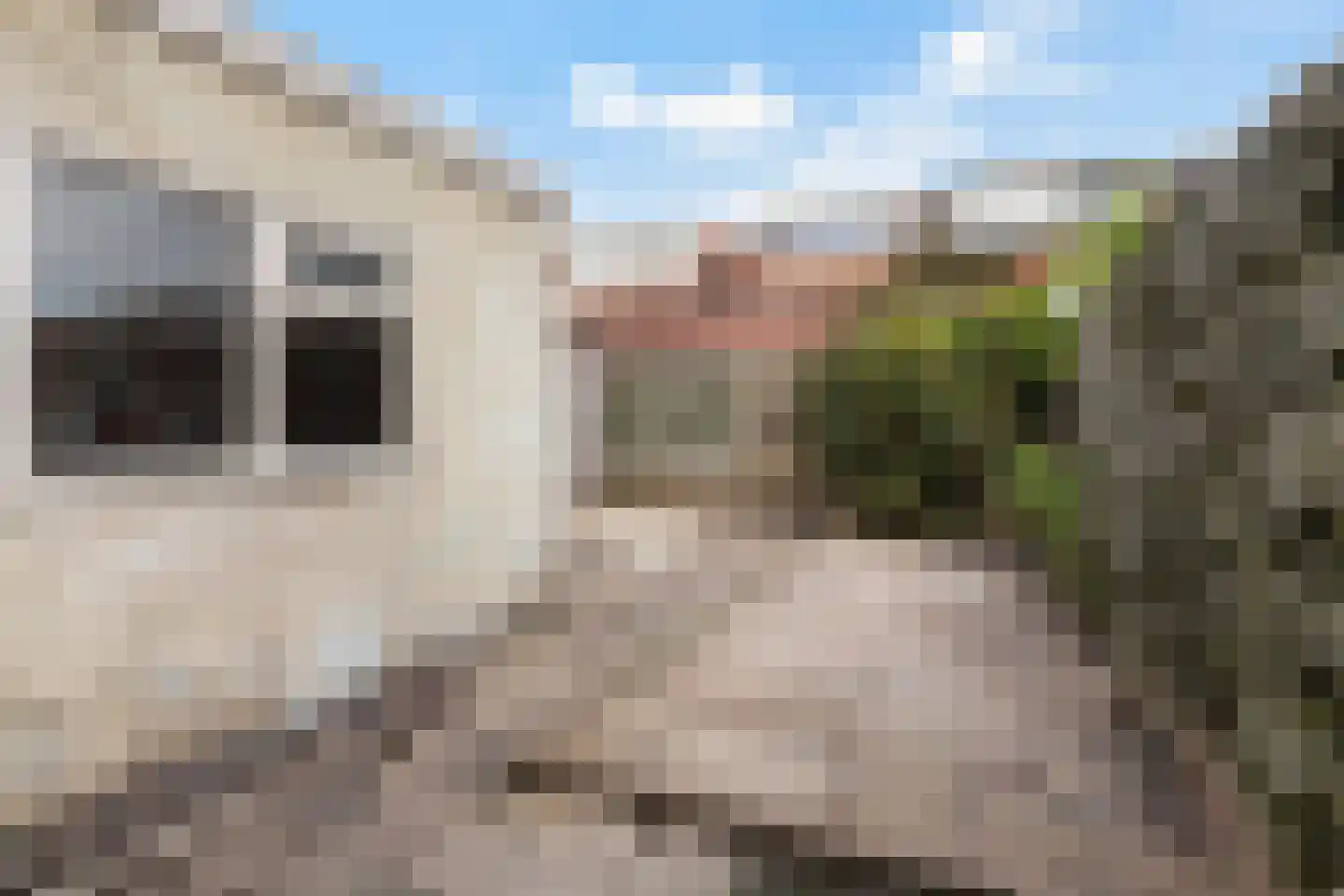 van der Helststraat 18 Leeuwarden thumbnail 21