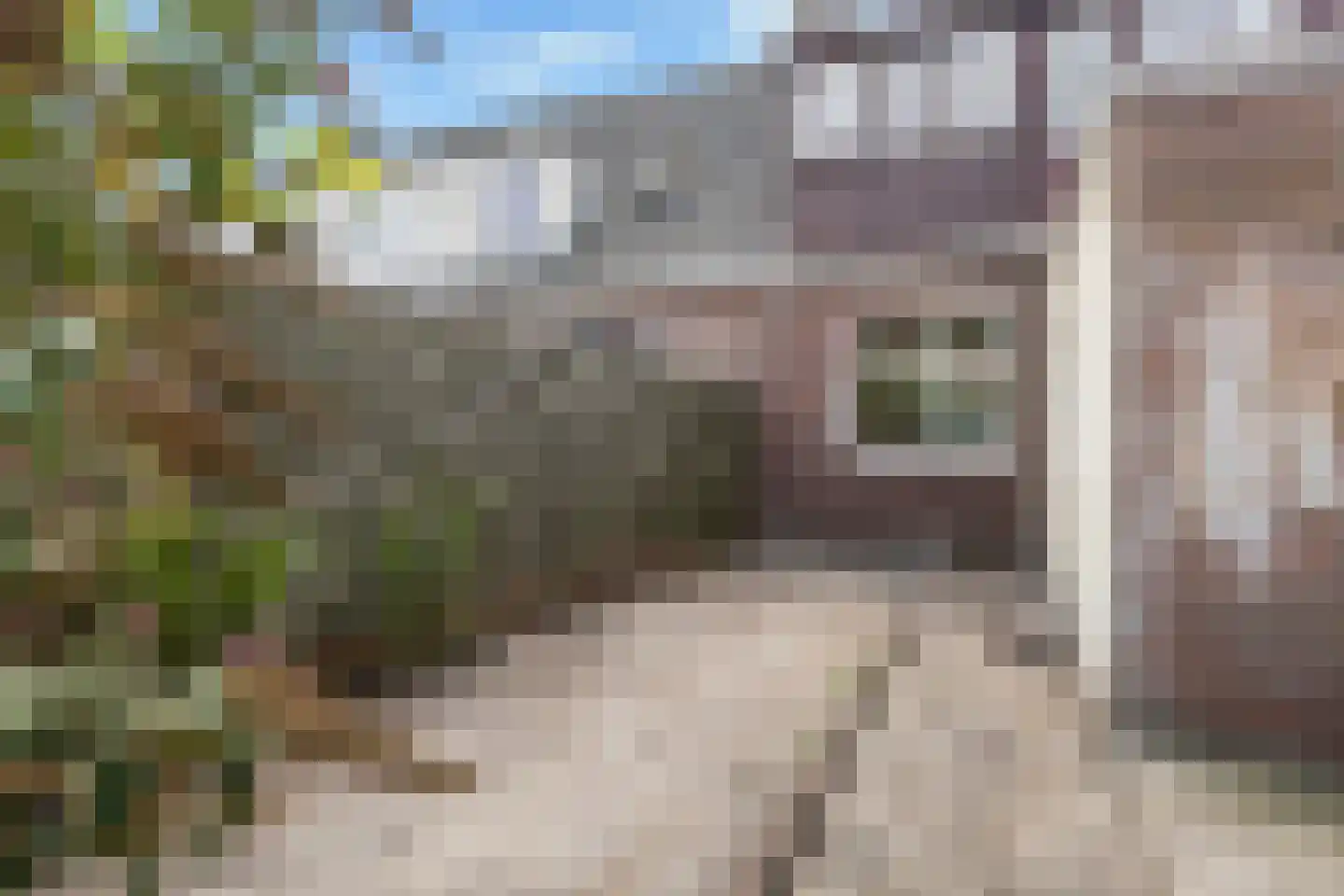 van der Helststraat 18 Leeuwarden thumbnail 23