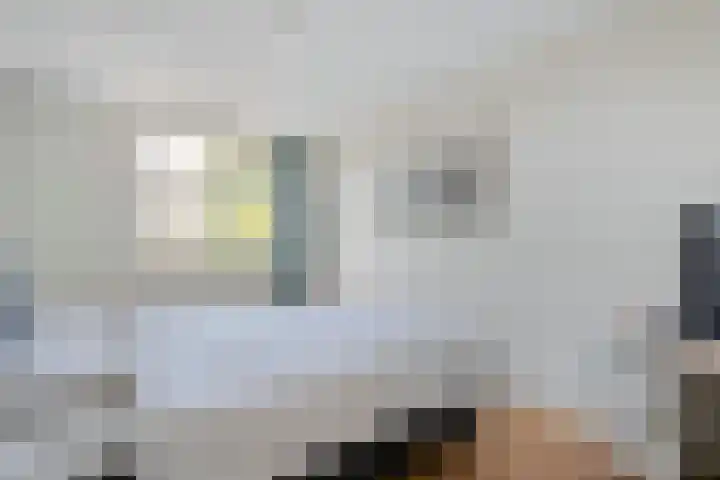 van der Helststraat 25 Ommen thumbnail 23