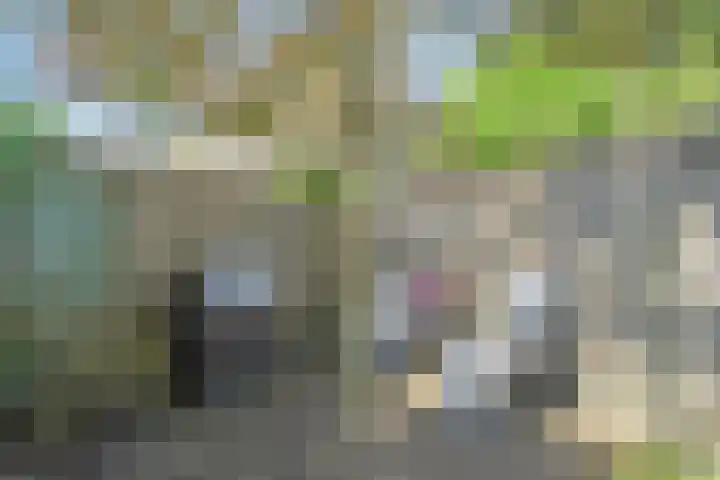 van der Helststraat 25 Ommen thumbnail 32
