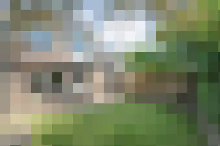 van der Helststraat 25 Ommen thumbnail 33