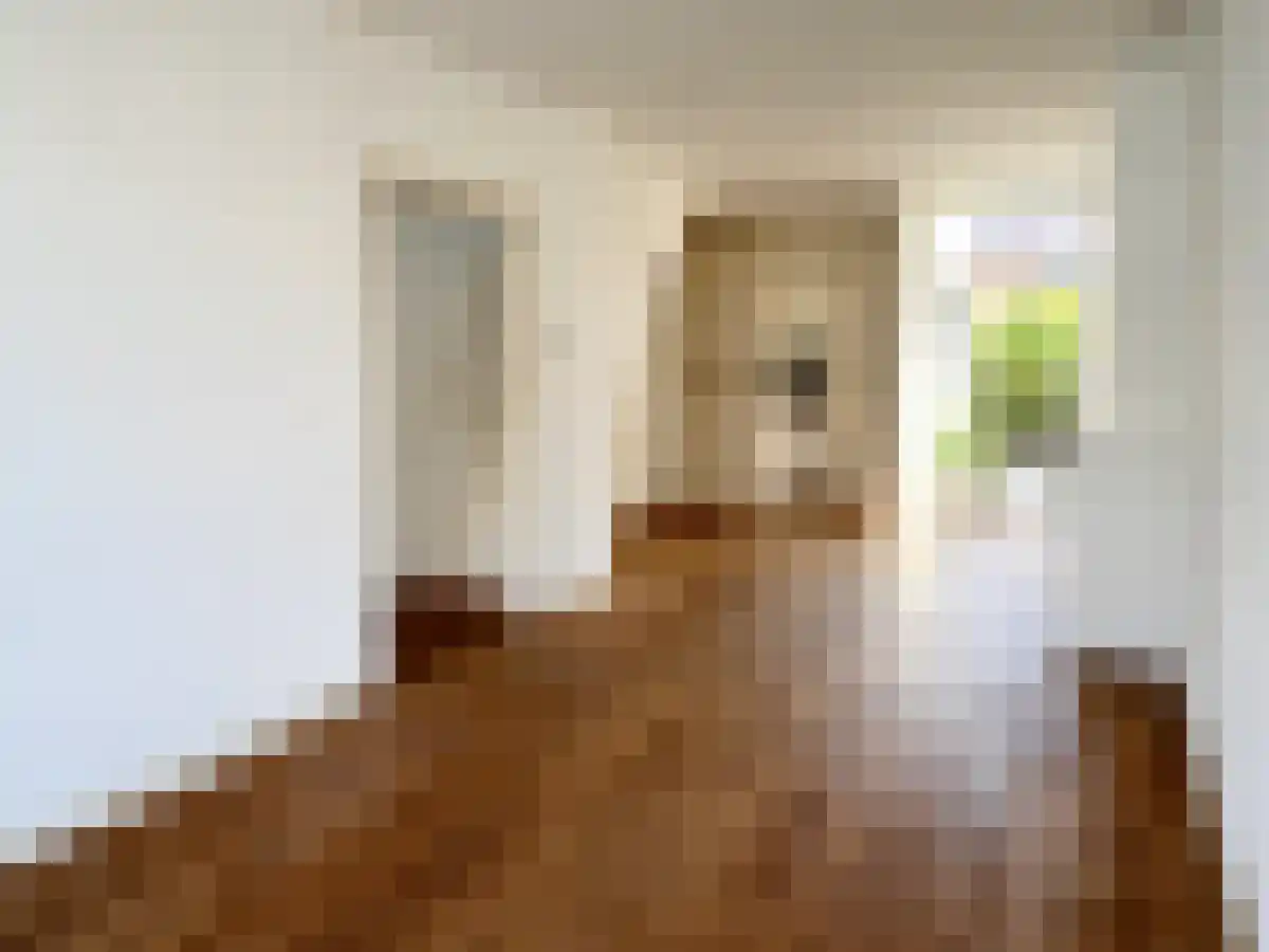 Van der Helststraat 28 Utrecht thumbnail 4