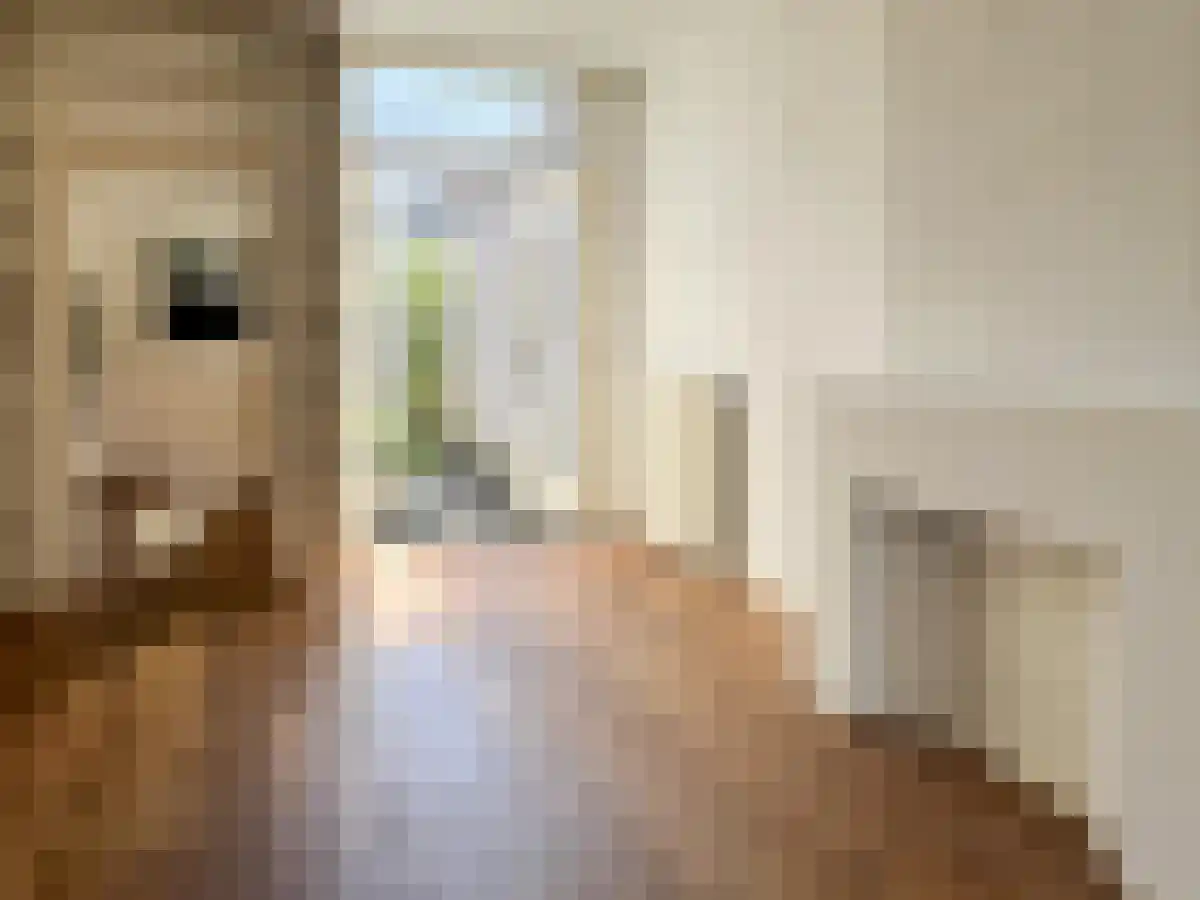 Van der Helststraat 28 Utrecht thumbnail 5