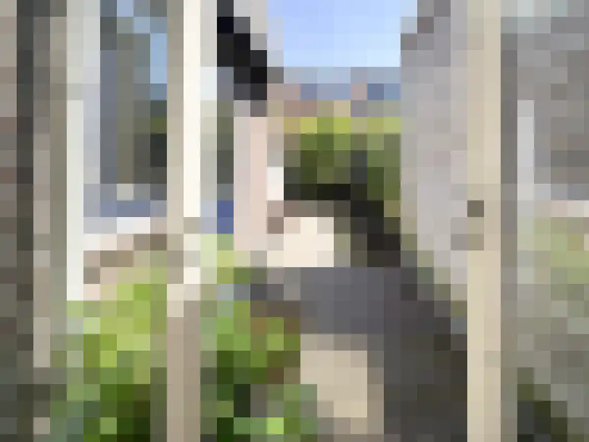 Van der Helststraat 28 Utrecht thumbnail 6