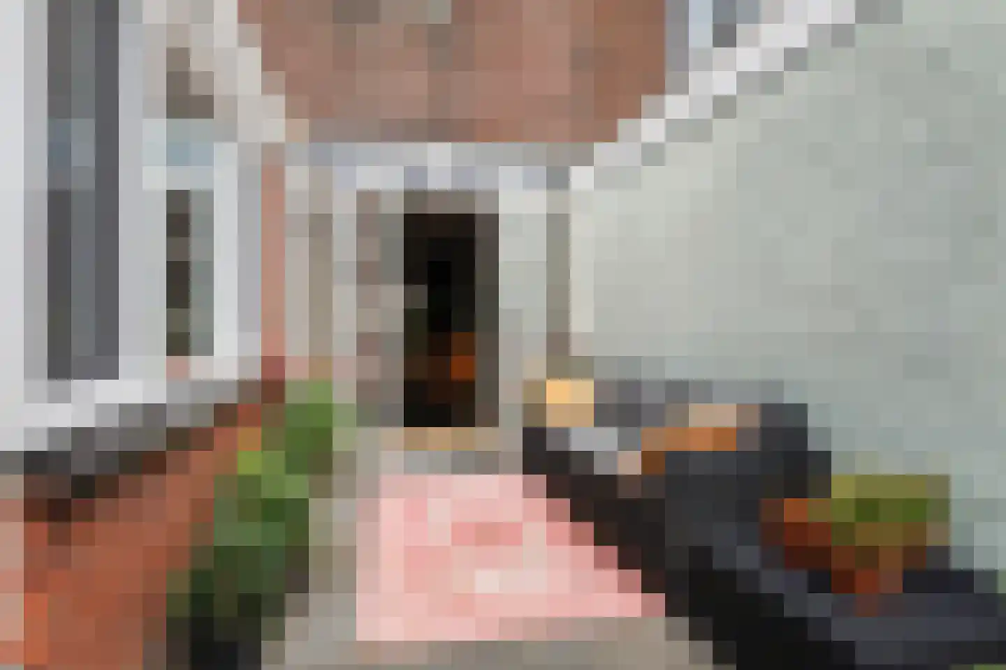van der Helststraat 3 Leeuwarden thumbnail 22