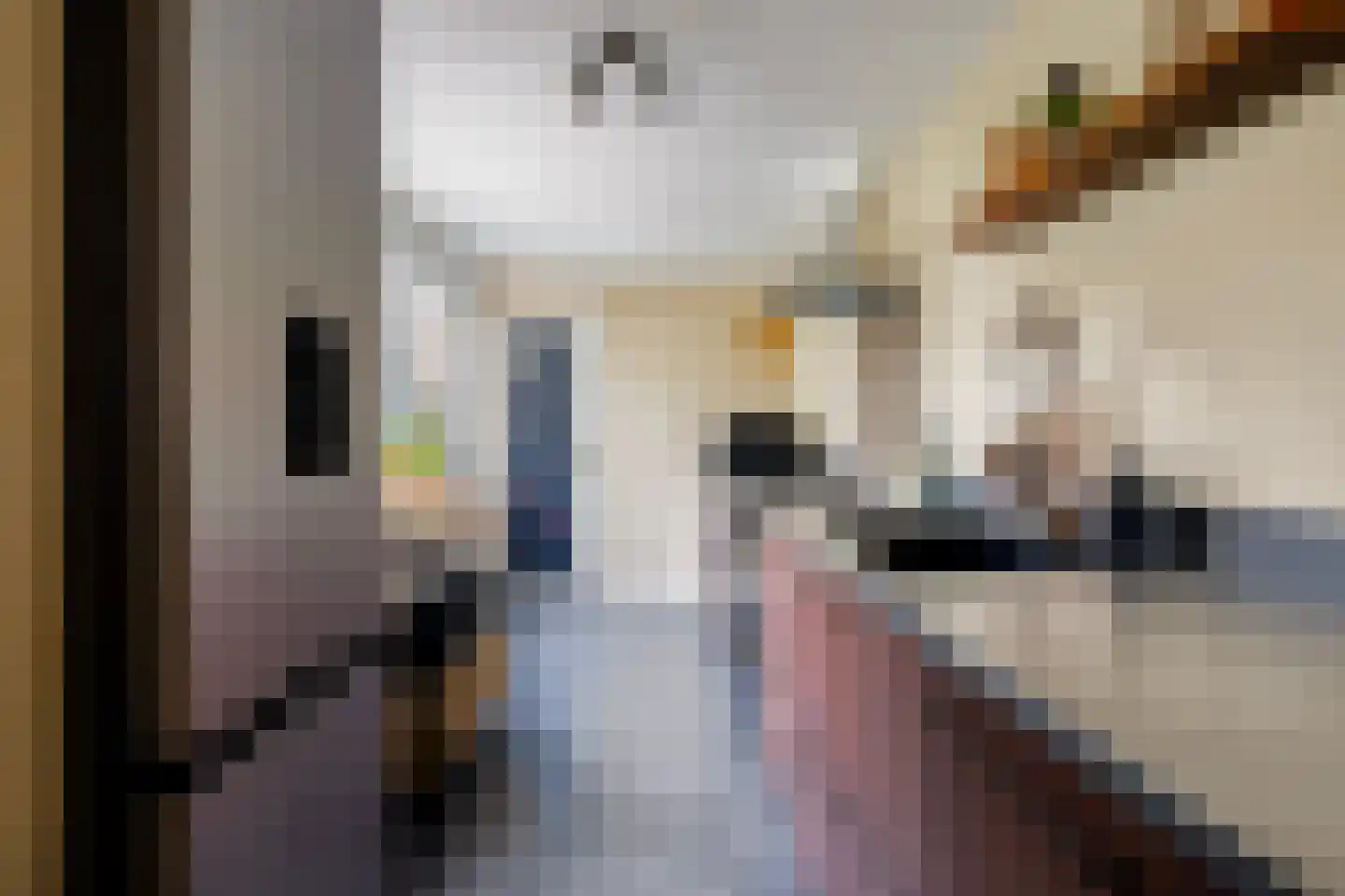 van der Helststraat 3 Leeuwarden thumbnail 5