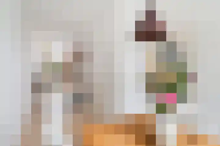 Van der Helststraat 3 Utrecht thumbnail 11