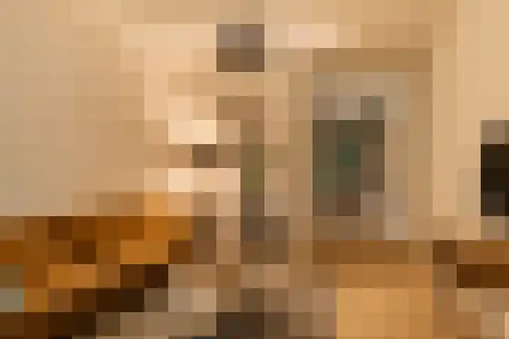 Van der Helststraat 3 Utrecht thumbnail 14