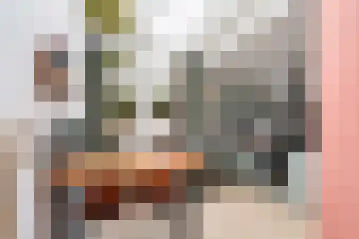 Van der Helststraat 3 Utrecht thumbnail 17