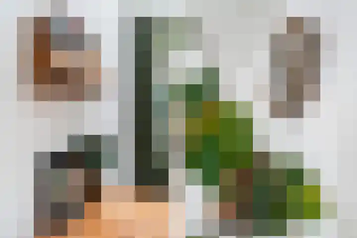Van der Helststraat 3 Utrecht thumbnail 23