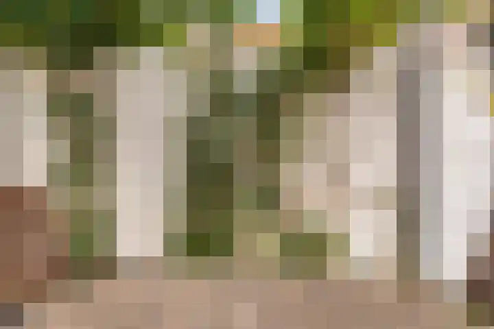 Van der Helststraat 3 Utrecht thumbnail 29