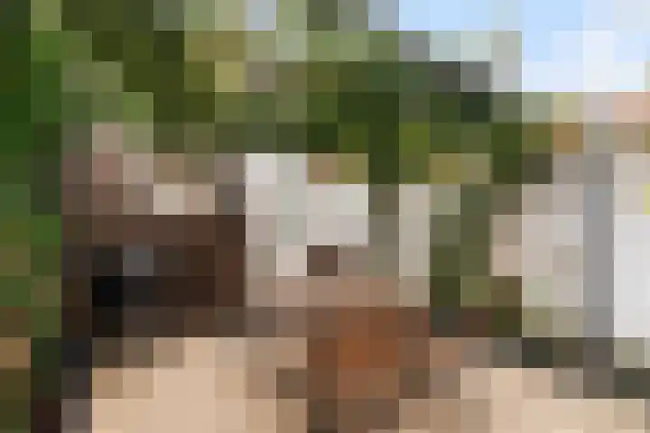 Van der Helststraat 3 Utrecht thumbnail 33