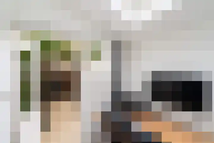 Van der Helststraat 3 Utrecht thumbnail 35