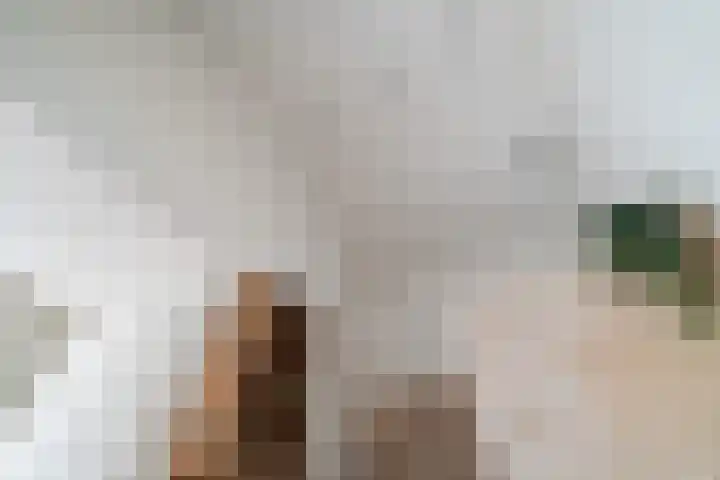 Van der Helststraat 3 Utrecht thumbnail 48