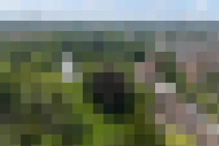 Van der Helststraat 3 Utrecht thumbnail 56