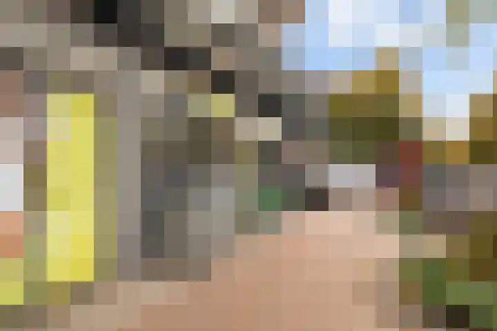 Van der Helststraat 3 Utrecht thumbnail 59