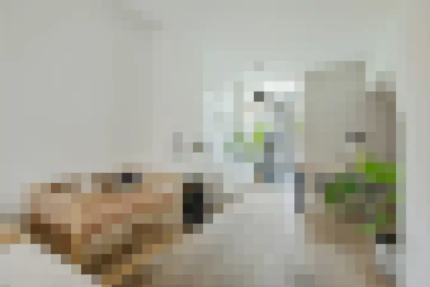 Van der Helststraat 30 Utrecht thumbnail 13