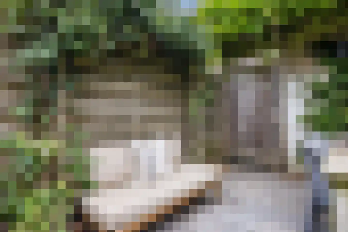 Van der Helststraat 30 Utrecht thumbnail 23