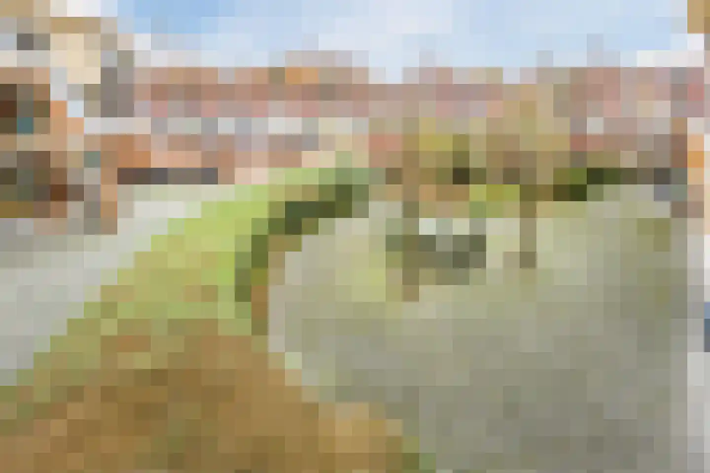 Van der Helststraat 4 Zwolle thumbnail 13