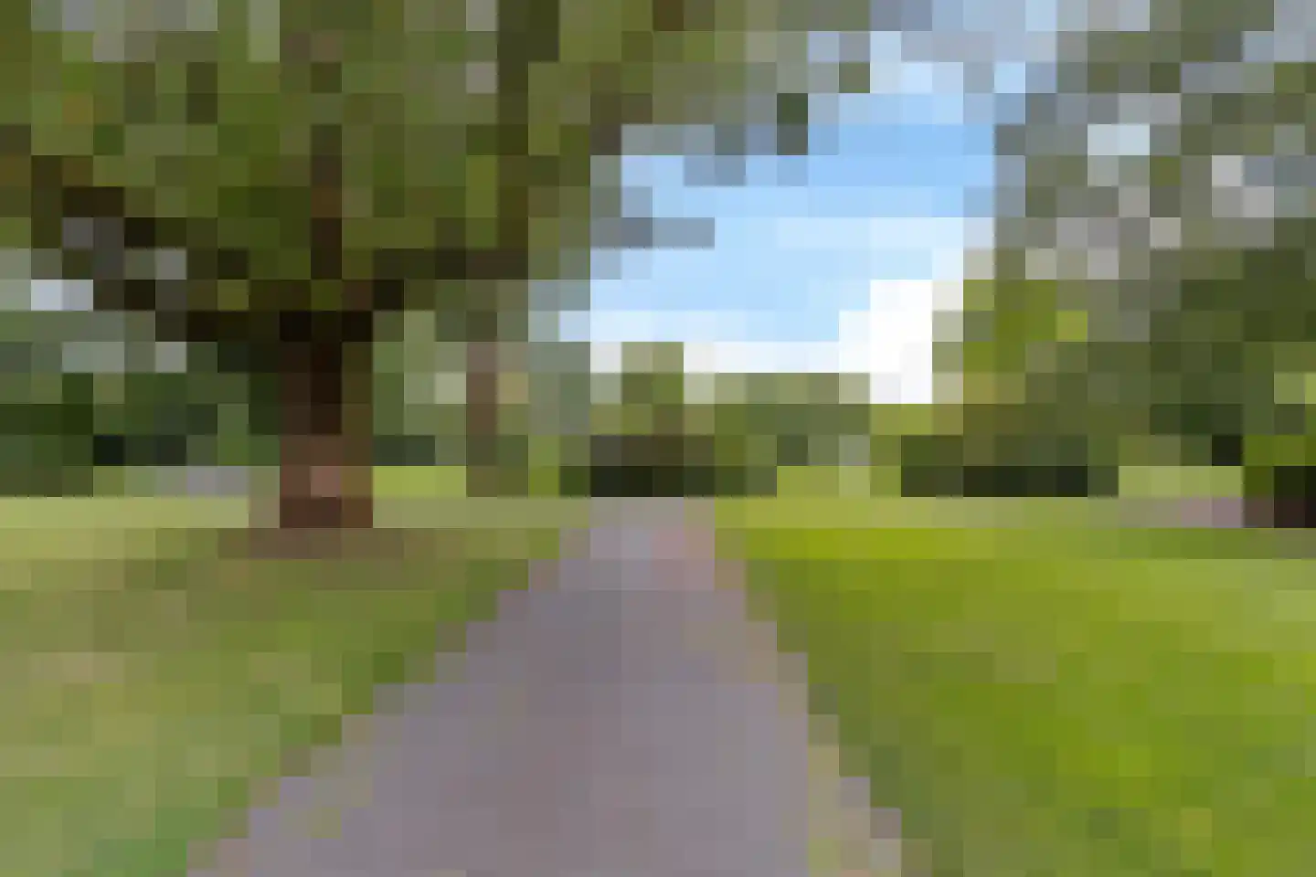 van der Helststraat 43 a Leeuwarden thumbnail 32