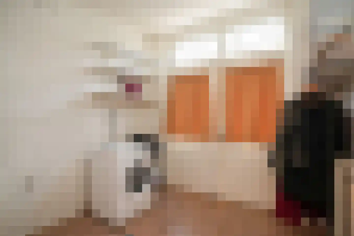 Van der Helststraat 48 Utrecht thumbnail 14