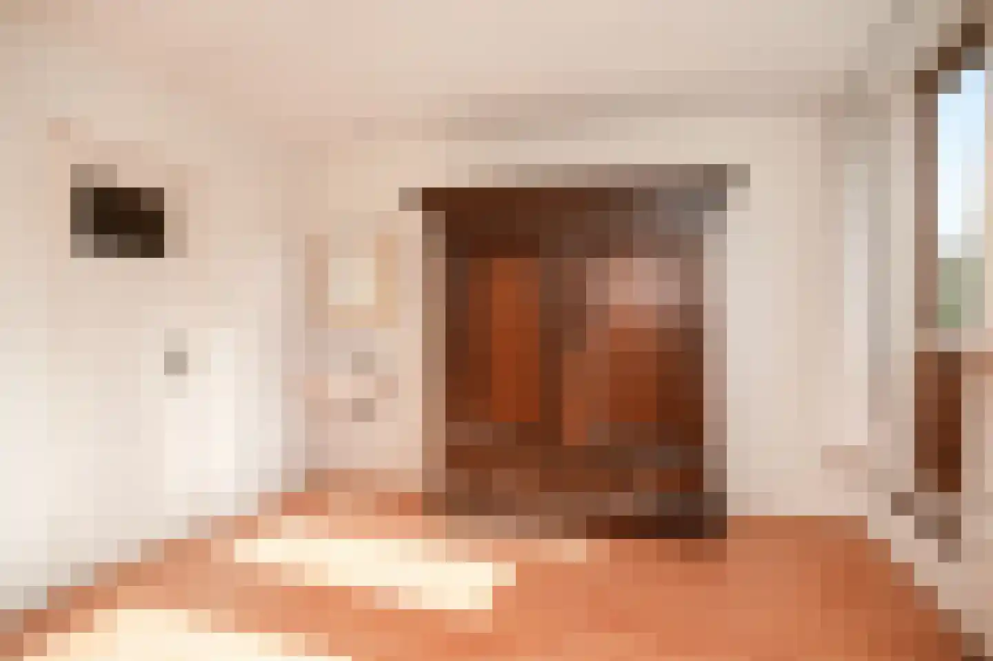 Van der Helststraat 48 Utrecht thumbnail 19