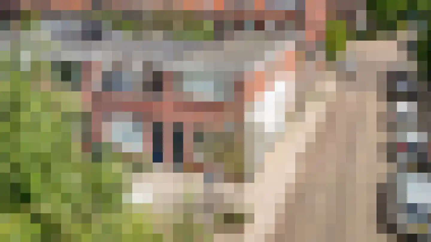 Van der Helststraat 48 Utrecht thumbnail 34