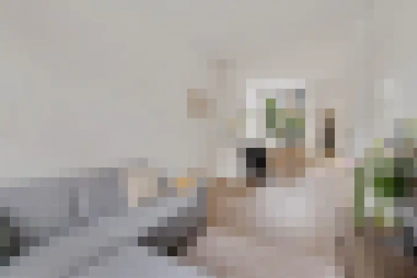 Van der Helststraat 9 Utrecht thumbnail 12
