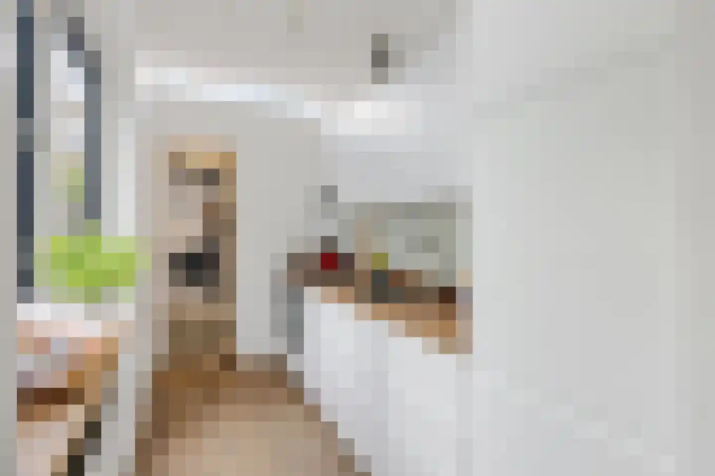 Van der Helststraat 9 Utrecht thumbnail 17