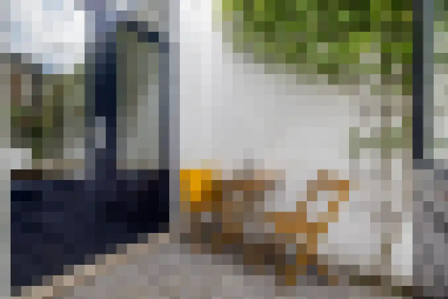Van der Helststraat 9 Utrecht thumbnail 21