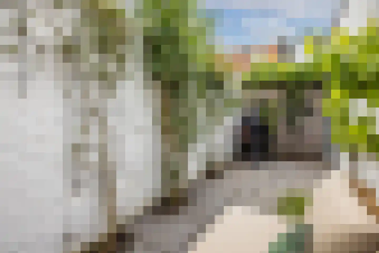 Van der Helststraat 9 Utrecht thumbnail 25