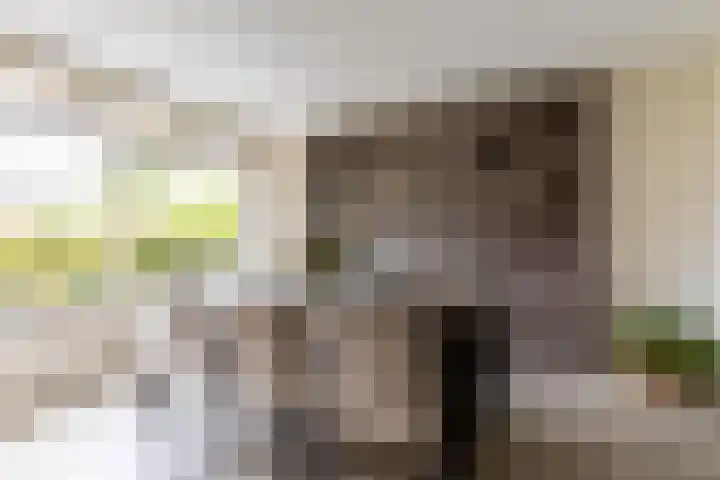 Van der Hoekleede 5 Barendrecht thumbnail 21
