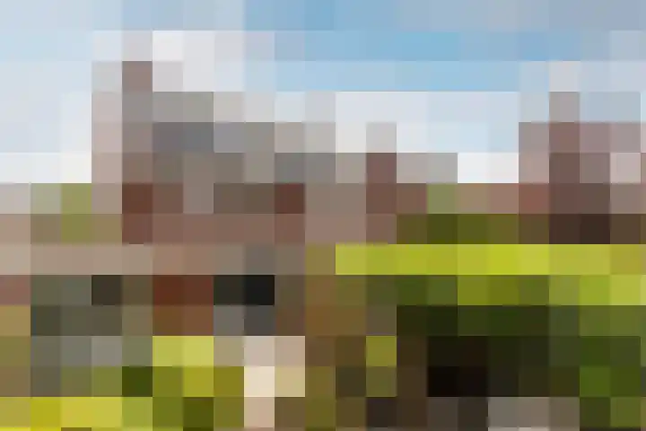Van der Hoekleede 5 Barendrecht thumbnail 38