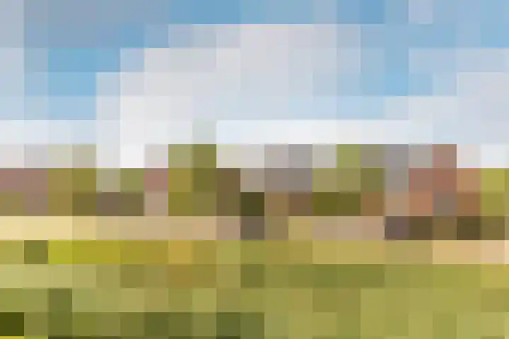 Van der Hoekleede 5 Barendrecht thumbnail 4