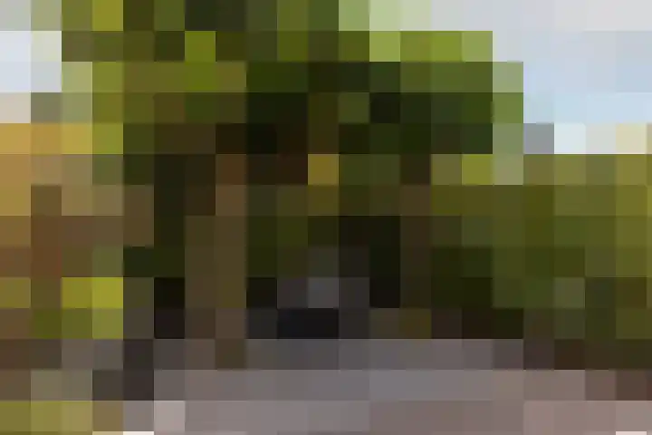 Van der Hoekleede 5 Barendrecht thumbnail 41