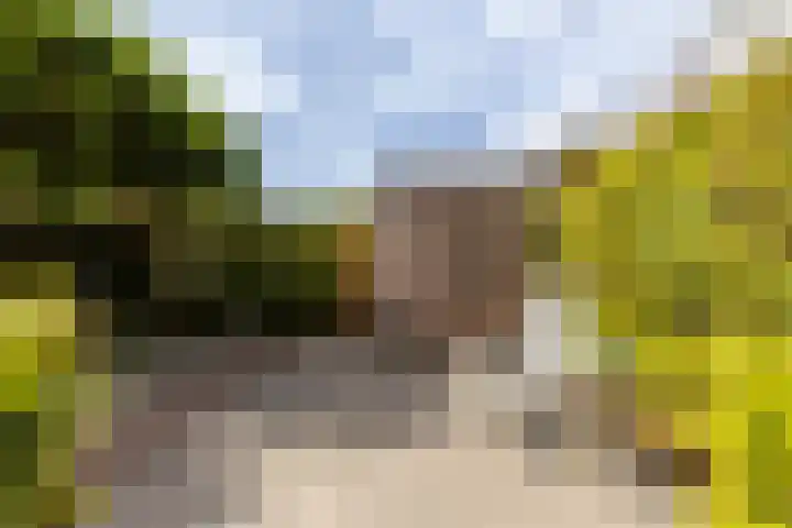 Van der Hoekleede 5 Barendrecht thumbnail 42