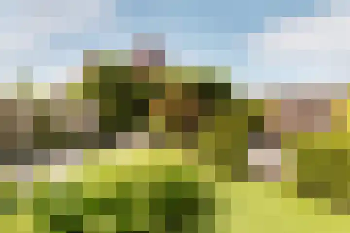 Van der Hoekleede 5 Barendrecht thumbnail 43