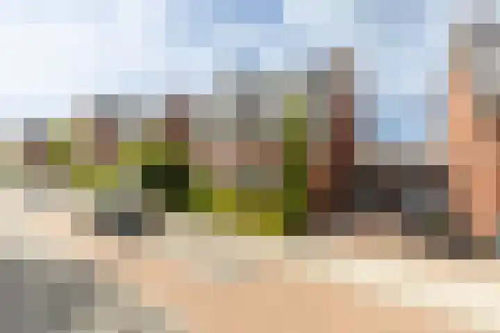Van der Hoekleede 5 Barendrecht thumbnail 5