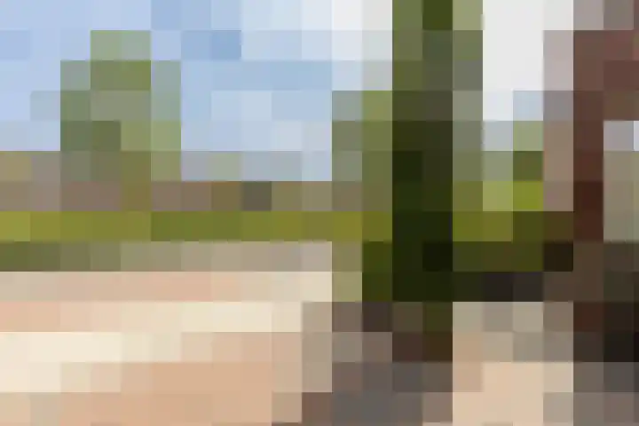 Van der Hoekleede 5 Barendrecht thumbnail 7