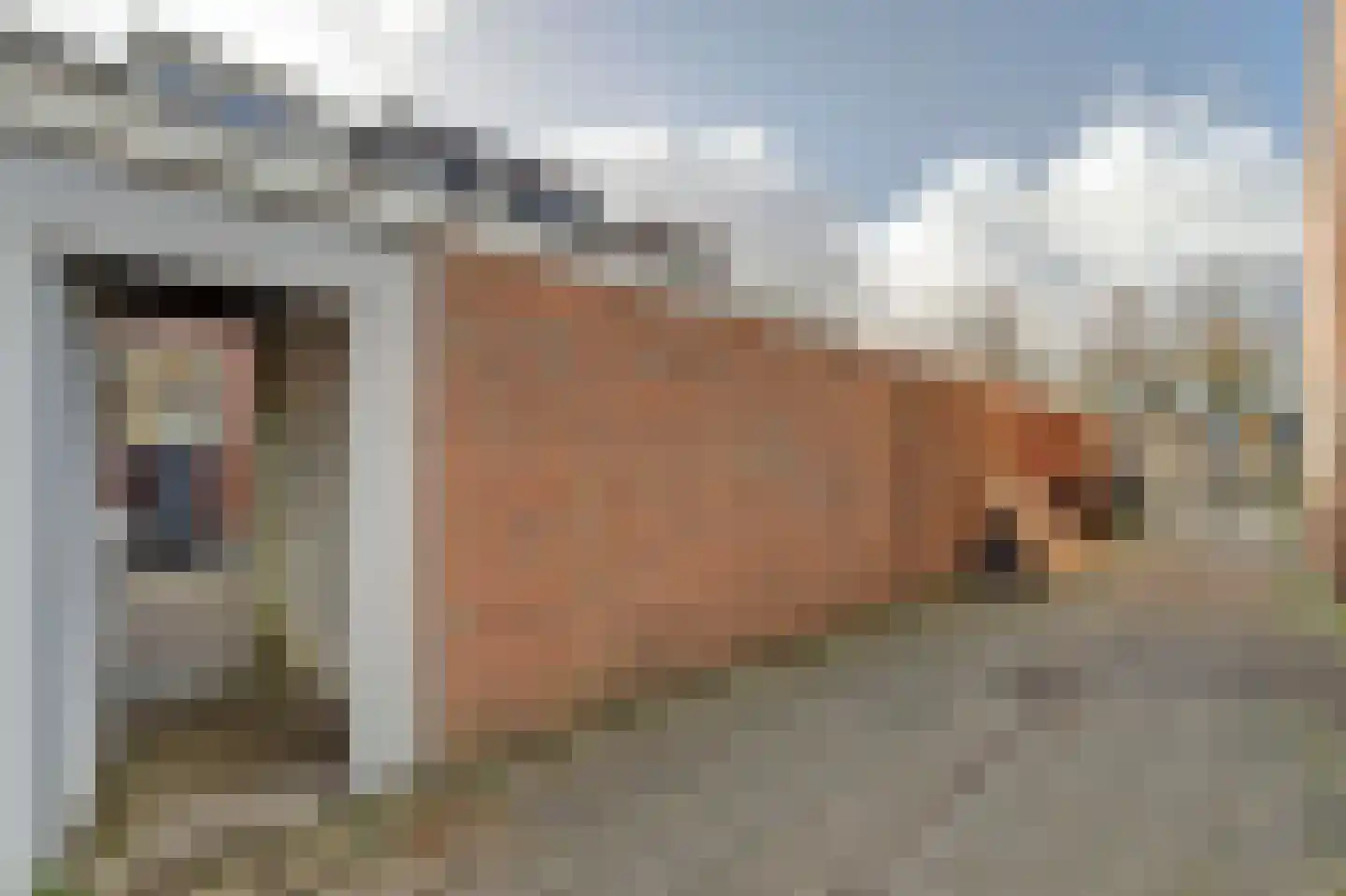 van der Hoevenlaan 28 Berkel en Rodenrijs thumbnail 26