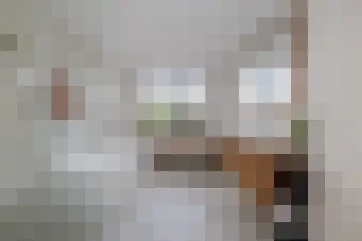 van der Hoevenlaan 5 Berkel en Rodenrijs thumbnail 13